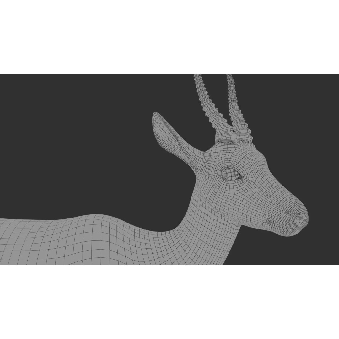 Gazelle 3D Model – Rigged High-Detail Animal Asset, Maya - View 18