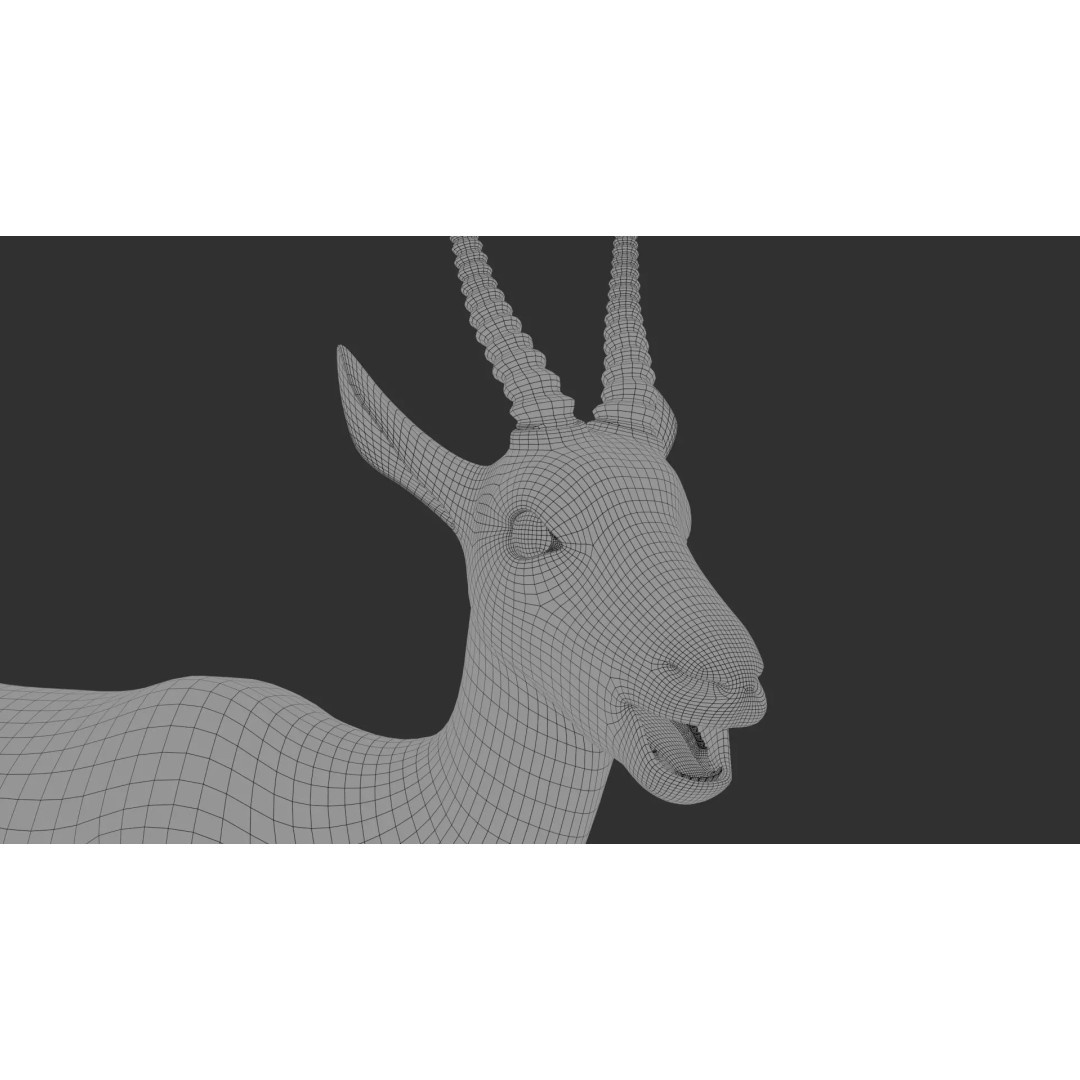 Gazelle 3D Model – Rigged High-Detail Animal Asset, Maya - View 20