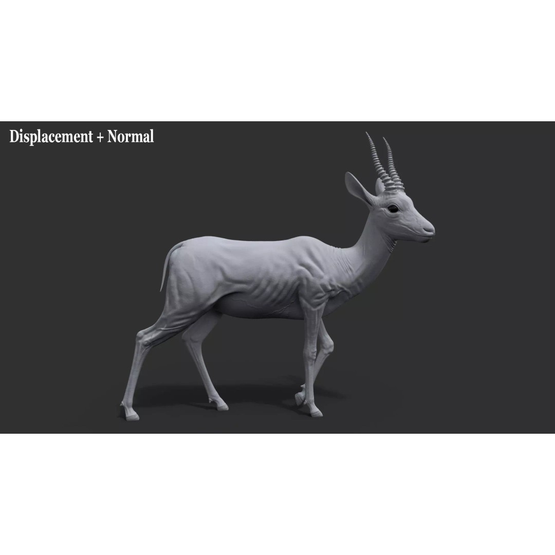 Gazelle 3D Model – Rigged High-Detail Animal Asset, Maya - View 21