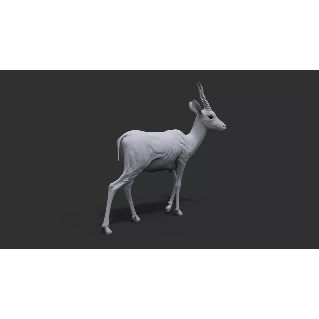 Gazelle 3D Model – Rigged High-Detail Animal Asset, Maya - View 22