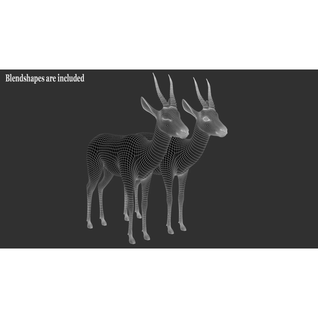 Gazelle 3D Model – Rigged High-Detail Animal Asset, Maya - View 26