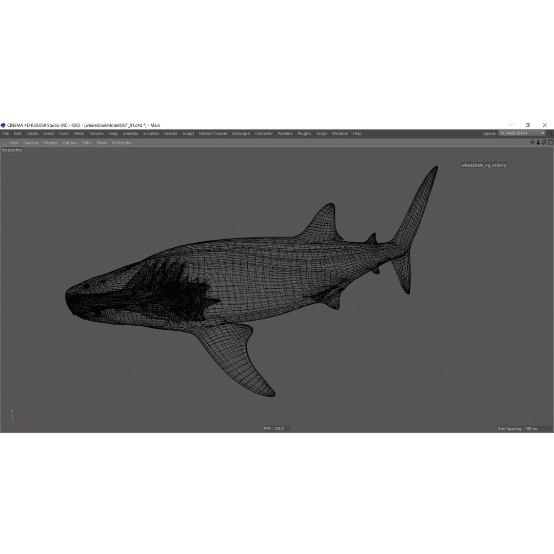 Whale Shark 3D Model – Low Poly Rigged Animated Asset for Cinema 4D