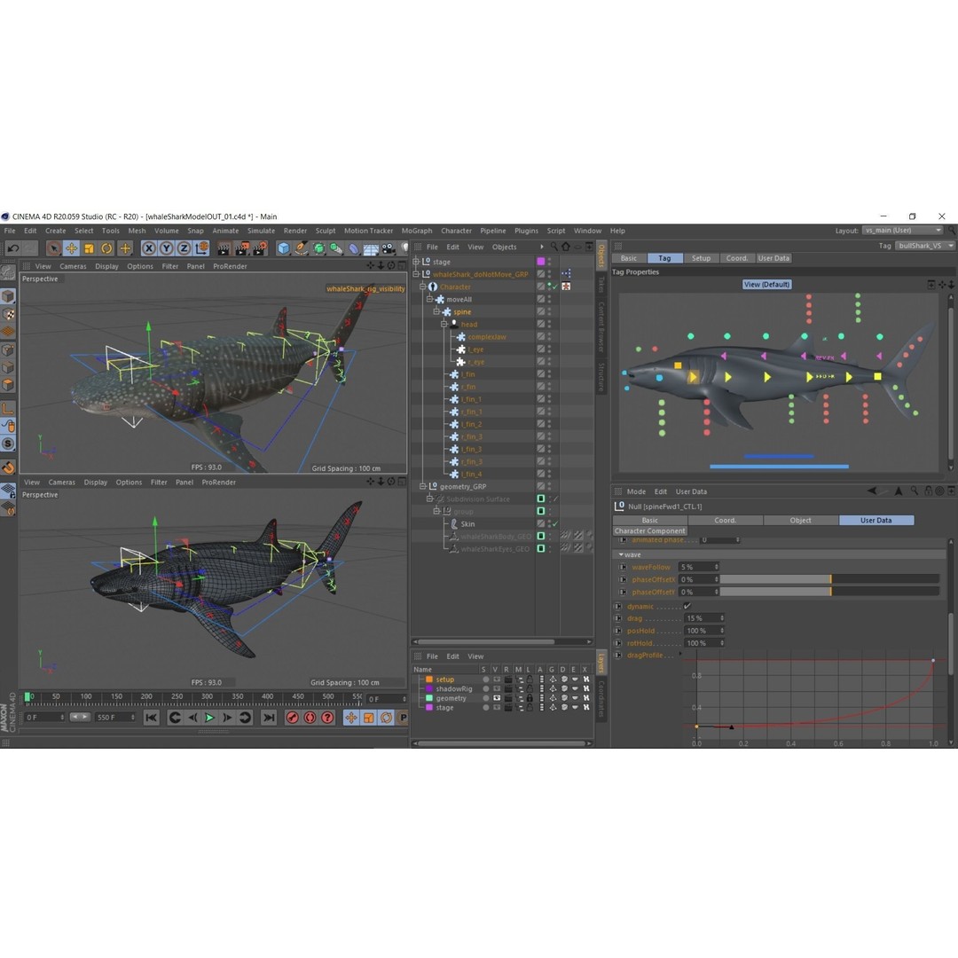 Whale Shark 3D Model – Low Poly Rigged Animated Asset for Cinema 4D - View 13