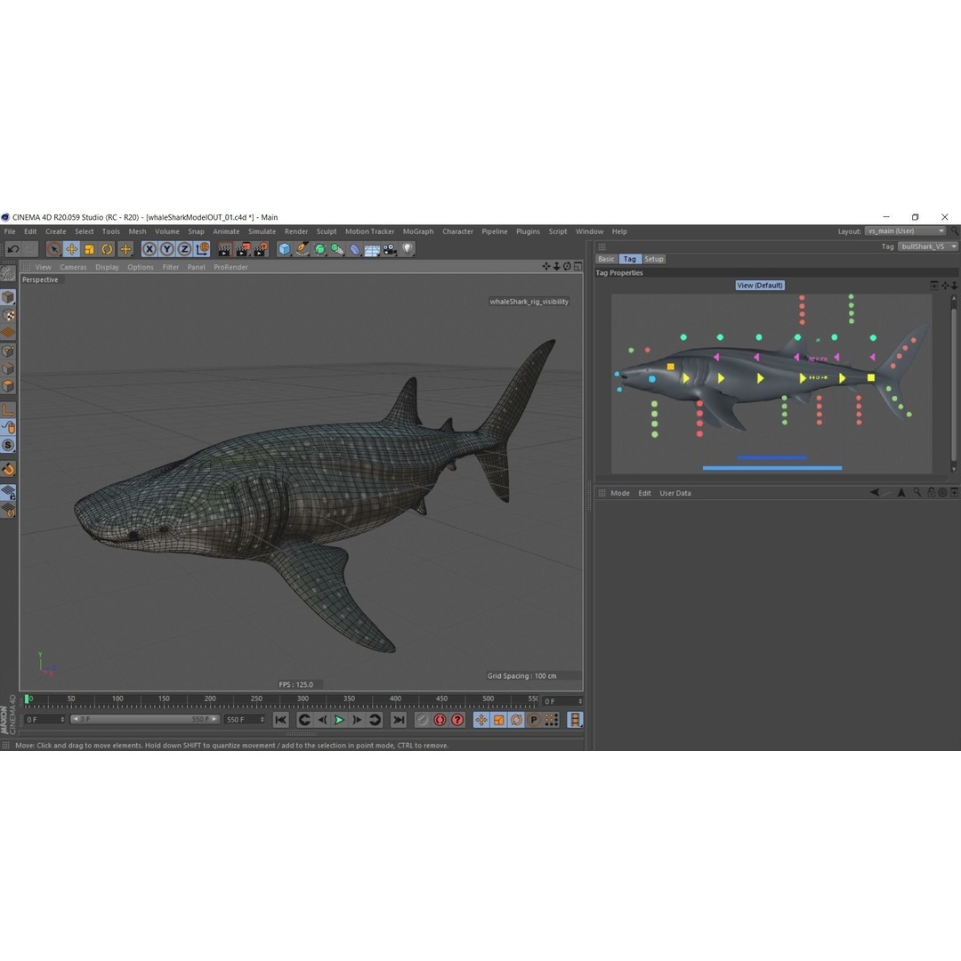 Whale Shark 3D Model – Low Poly Rigged Animated Asset for Cinema 4D - View 15