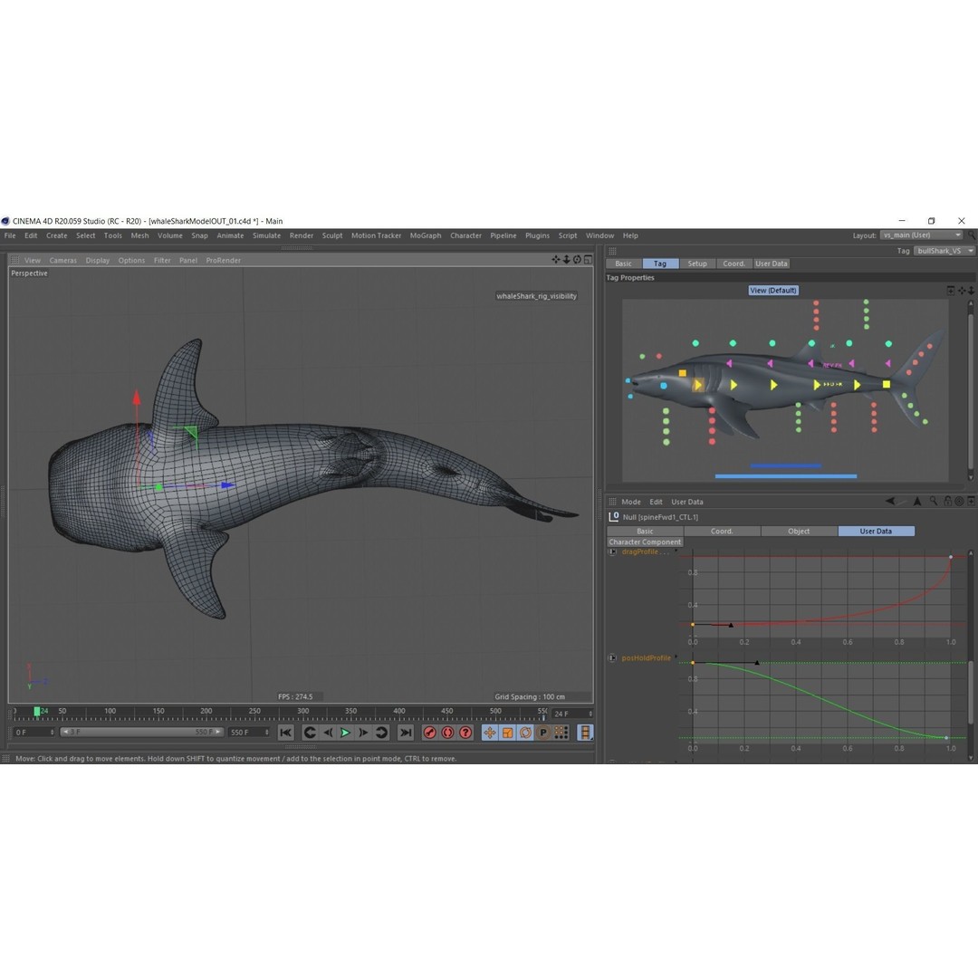 Whale Shark 3D Model – Low Poly Rigged Animated Asset for Cinema 4D - View 16