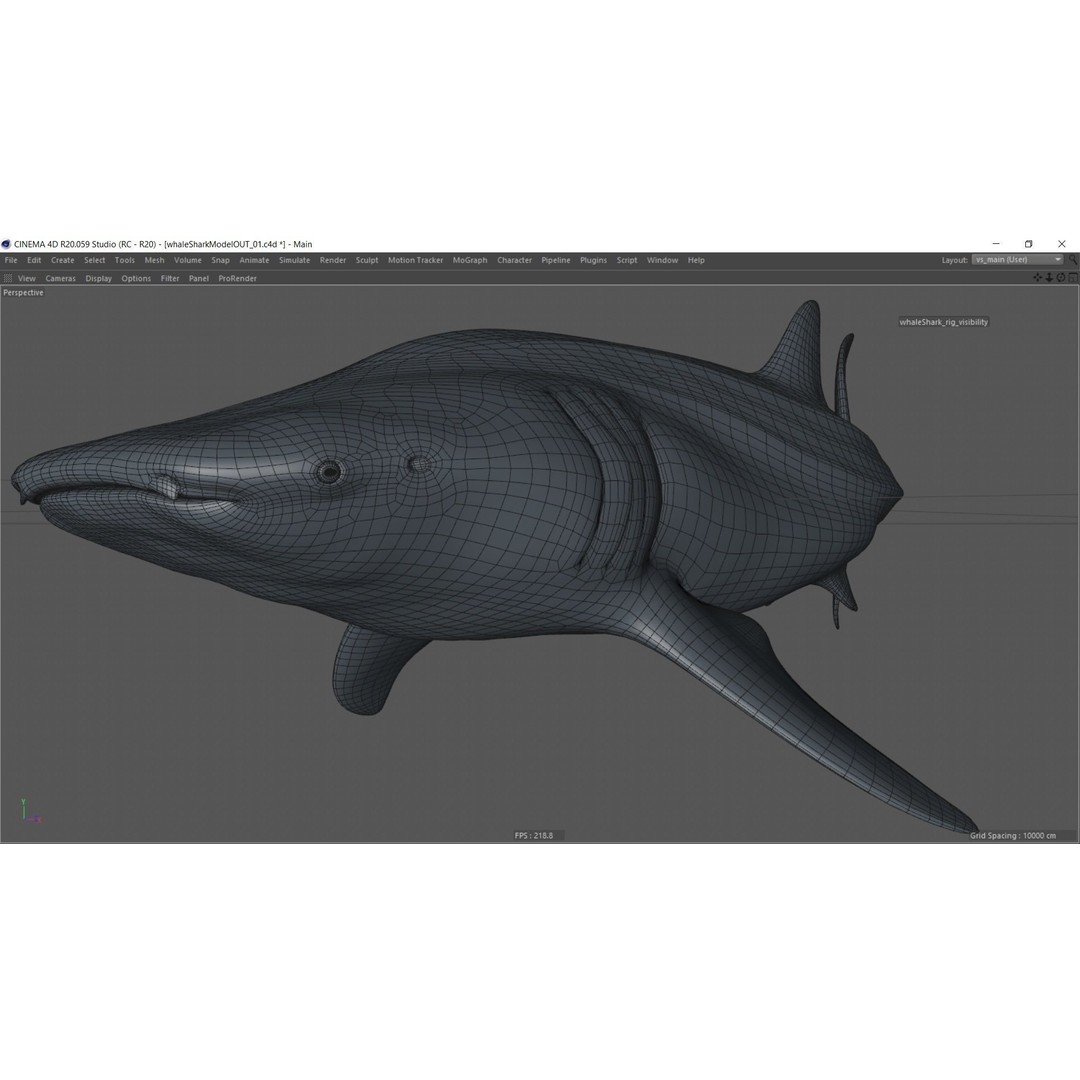 Whale Shark 3D Model – Low Poly Rigged Animated Asset for Cinema 4D - View 17