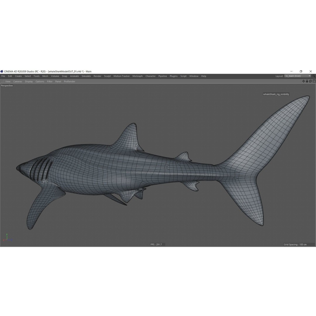 Whale Shark 3D Model – Low Poly Rigged Animated Asset for Cinema 4D - View 18