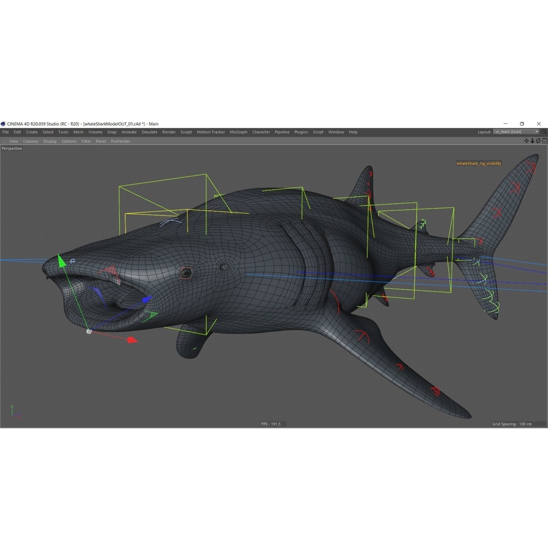 Whale Shark 3D Model – Low Poly Rigged Animated Asset for Cinema 4D - View 19
