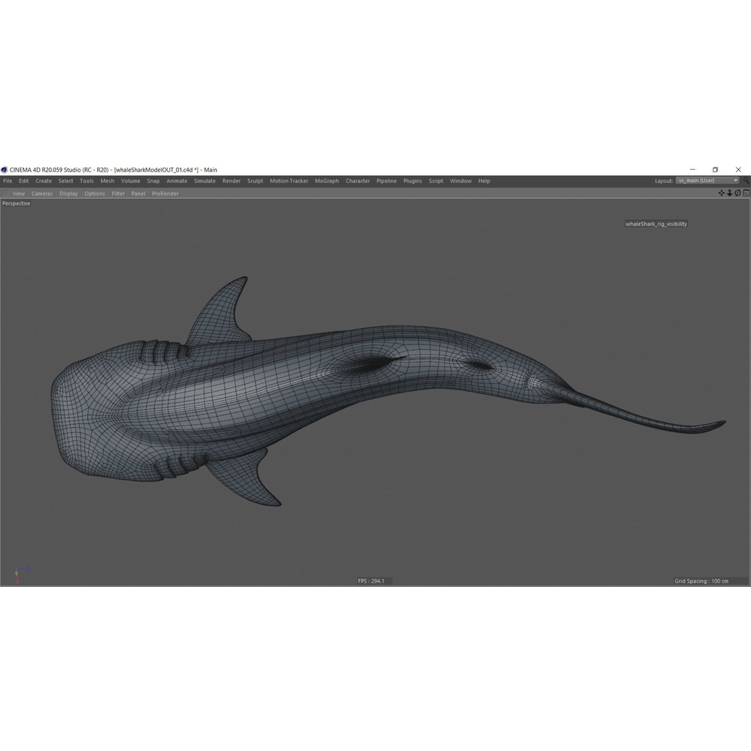 Whale Shark 3D Model – Low Poly Rigged Animated Asset for Cinema 4D - View 20