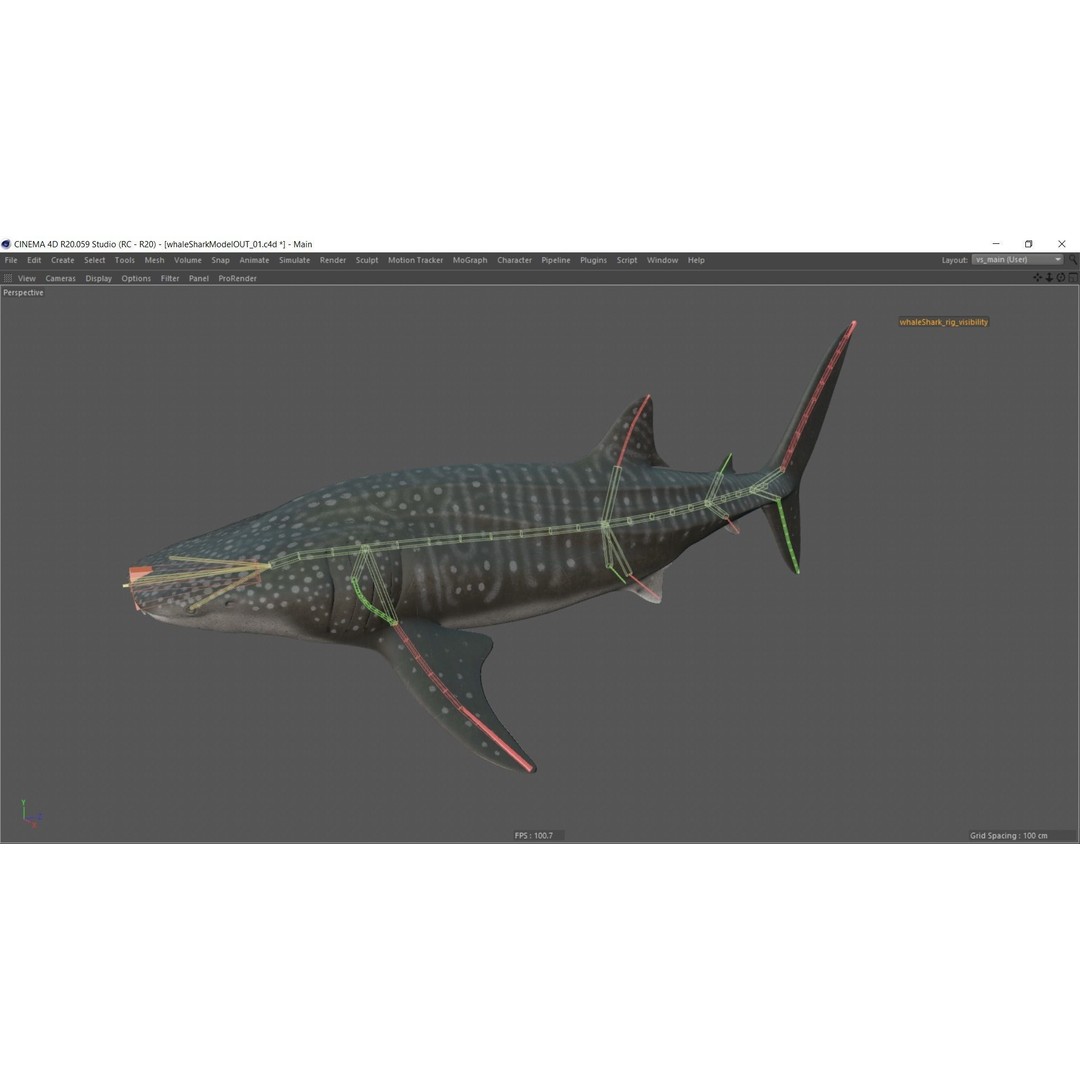 Whale Shark 3D Model – Low Poly Rigged Animated Asset for Cinema 4D - View 22