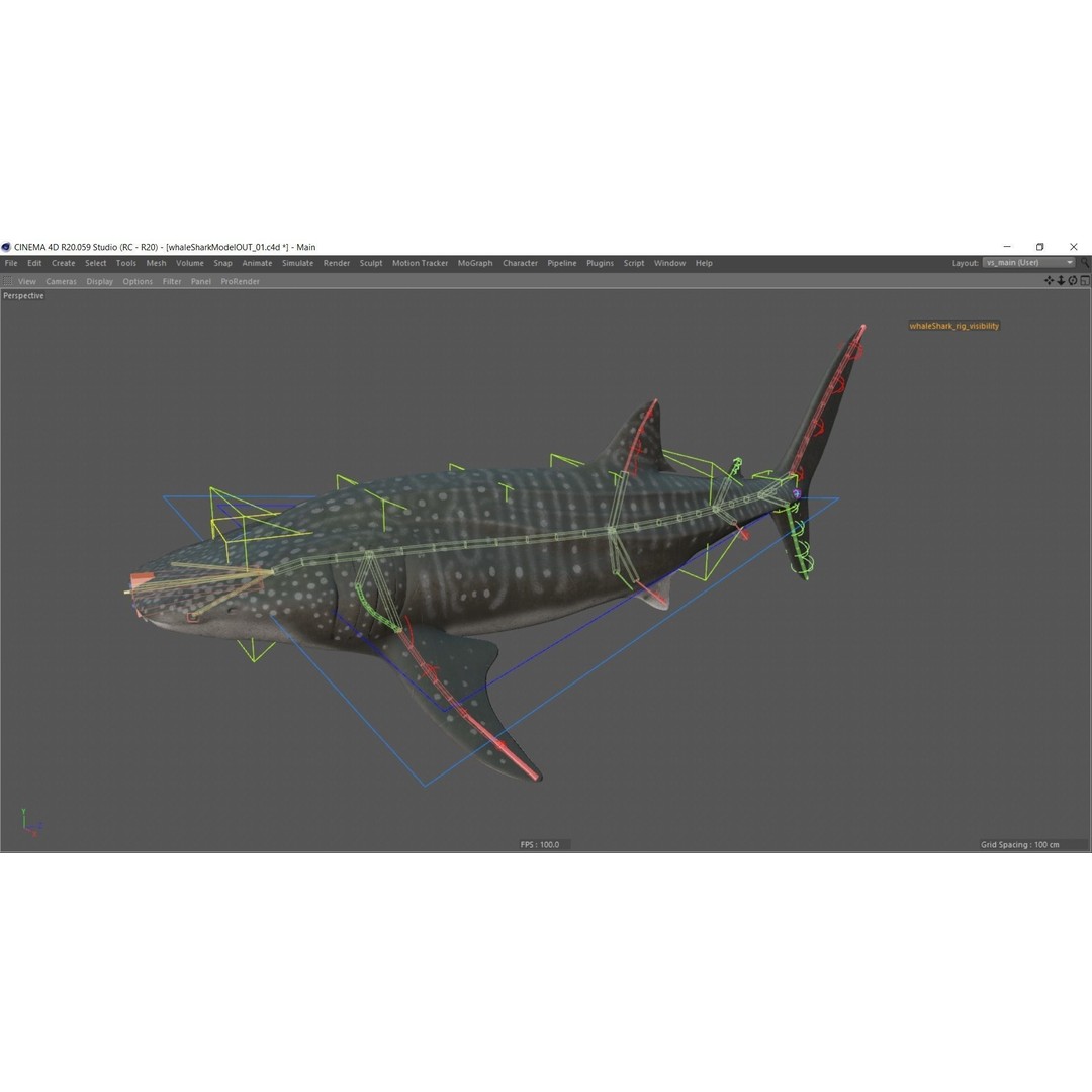 Whale Shark 3D Model – Low Poly Rigged Animated Asset for Cinema 4D - View 23
