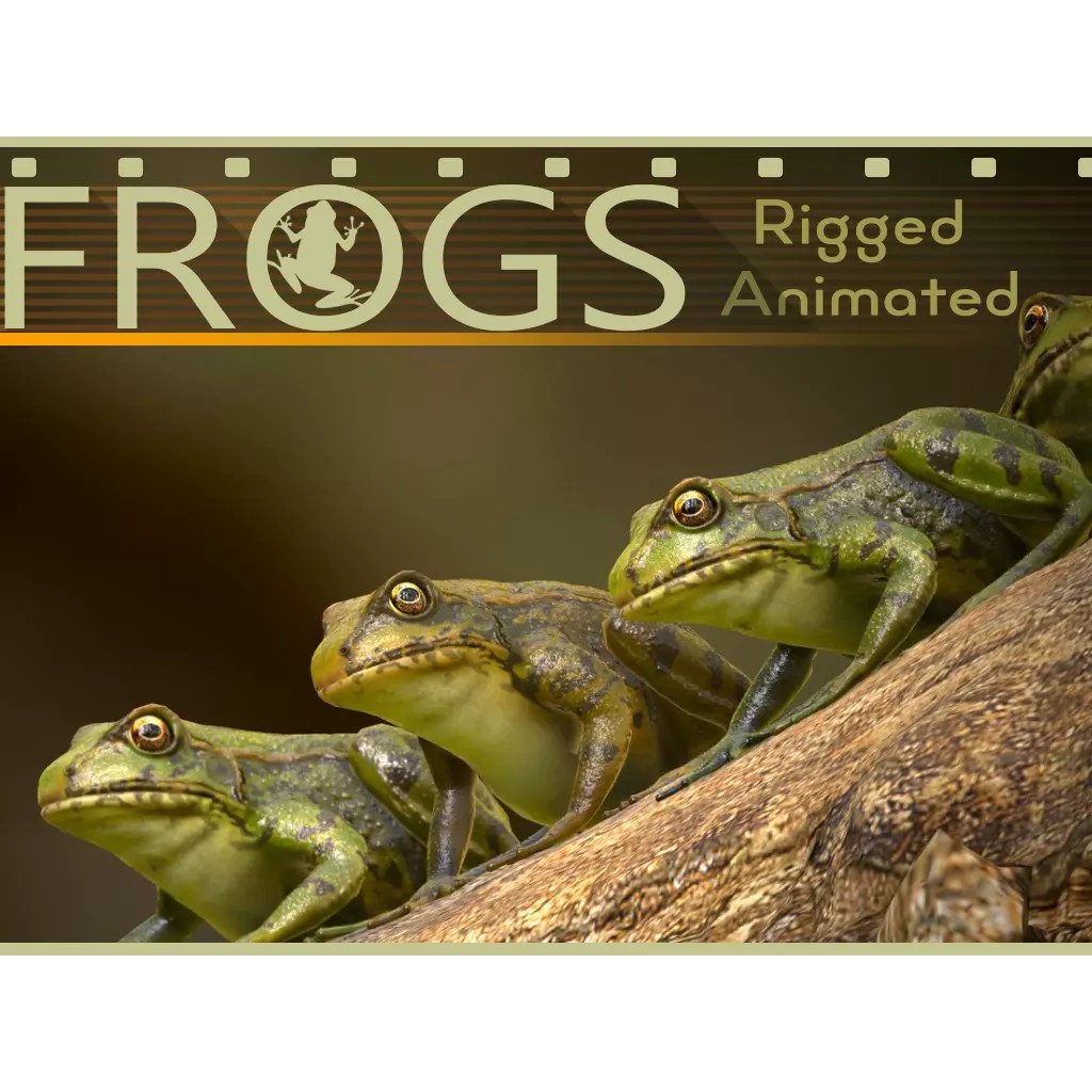 Frog 3D Model – Low Poly Rigged Animation Asset, FBX, OBJ - View 2