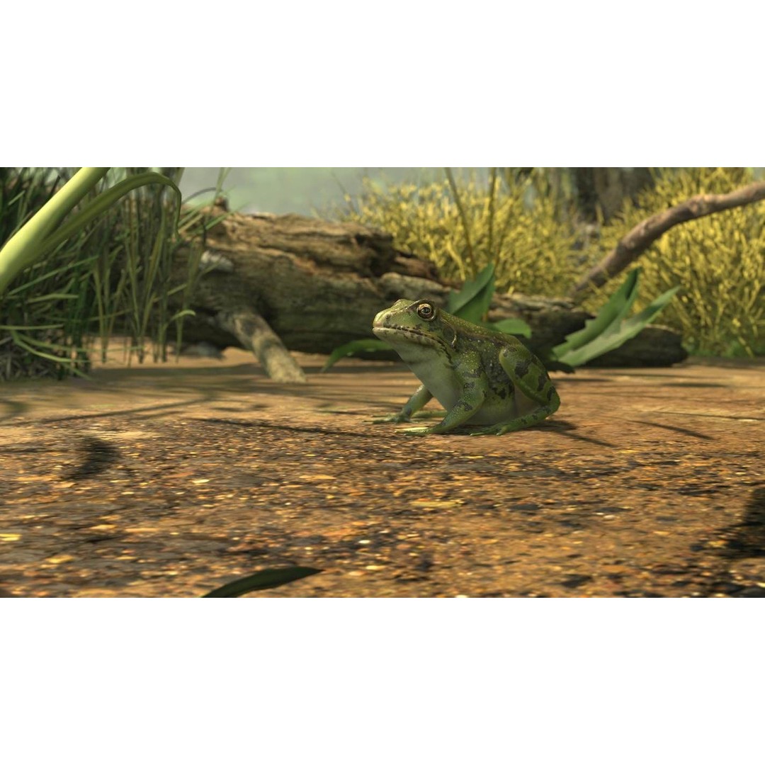 Frog 3D Model – Low Poly Rigged Animation Asset, FBX, OBJ - View 21