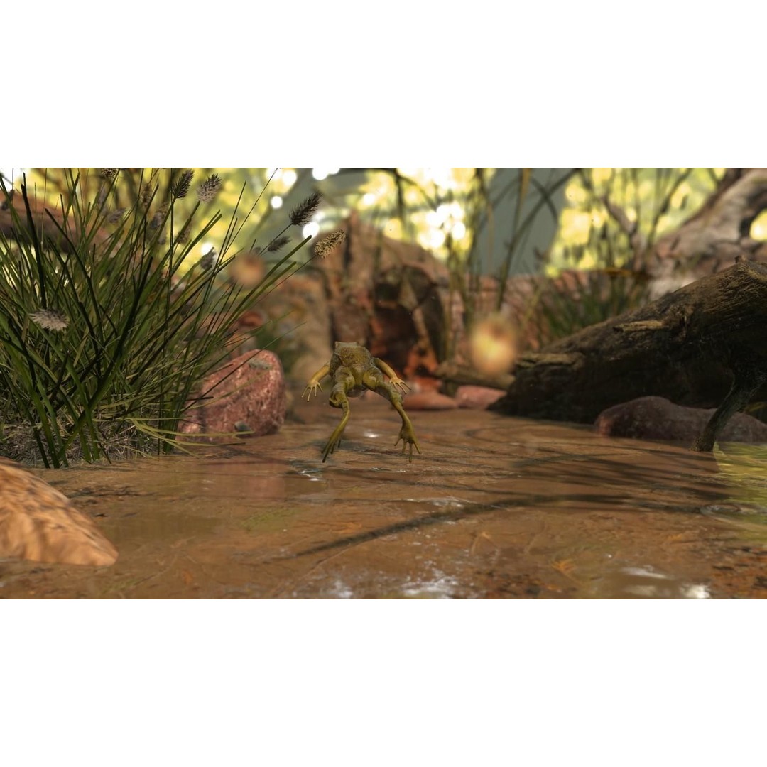 Frog 3D Model – Low Poly Rigged Animation Asset, FBX, OBJ - View 23