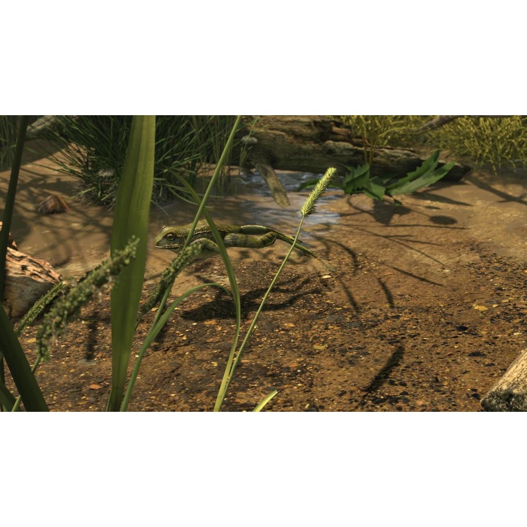 Frog 3D Model – Low Poly Rigged Animation Asset, FBX, OBJ - View 25