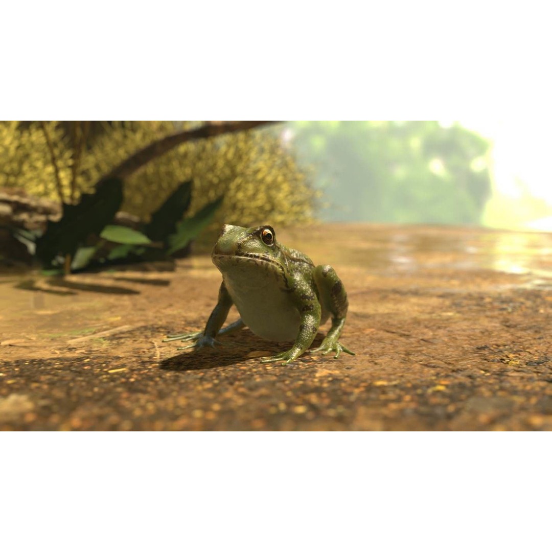 Frog 3D Model – Low Poly Rigged Animation Asset, FBX, OBJ - View 27