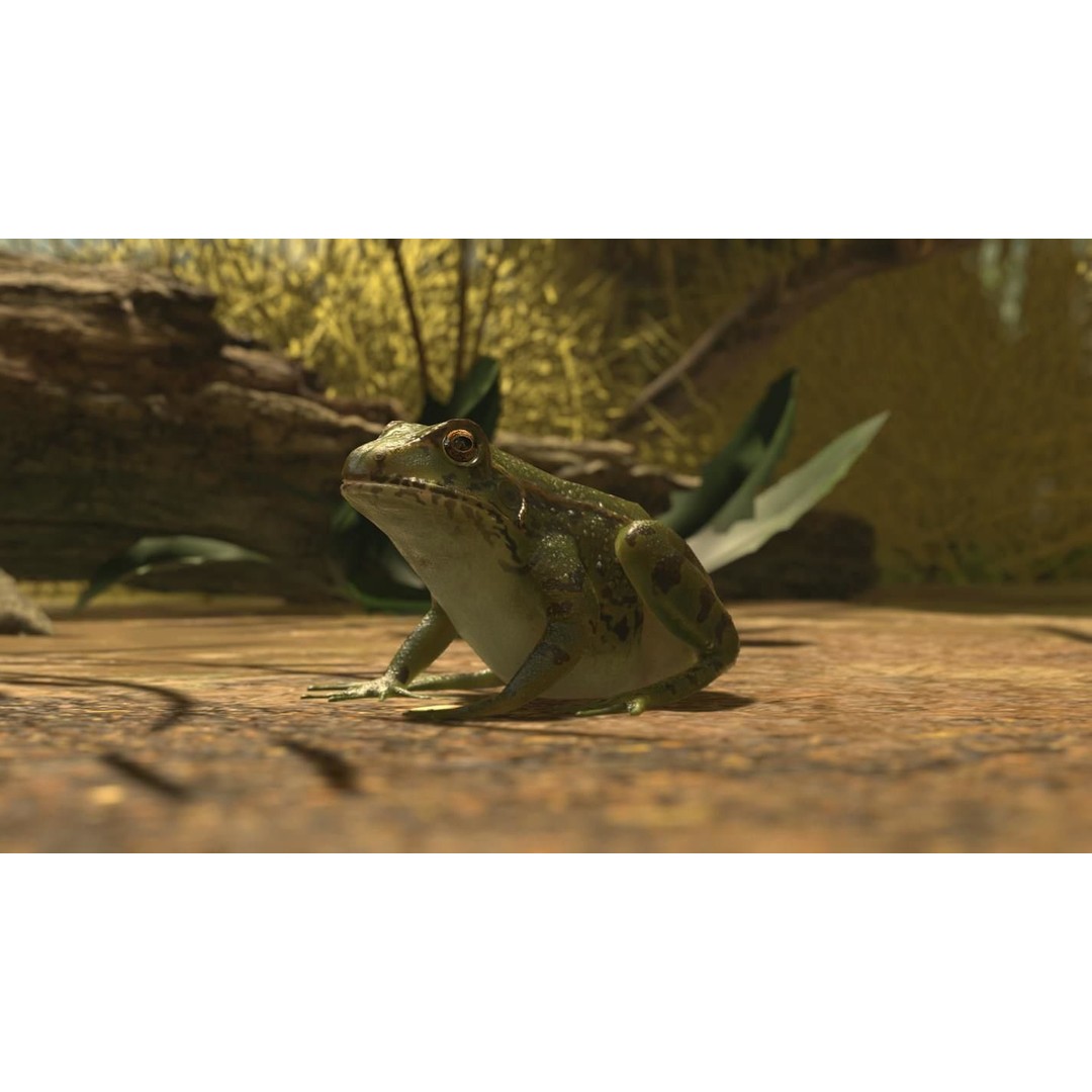 Frog 3D Model – Low Poly Rigged Animation Asset, FBX, OBJ - View 34