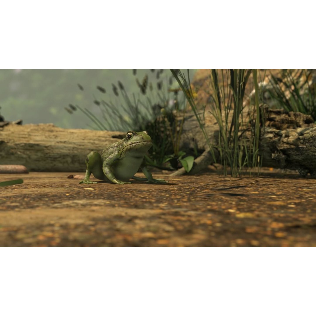 Frog 3D Model – Low Poly Rigged Animation Asset, FBX, OBJ - View 44