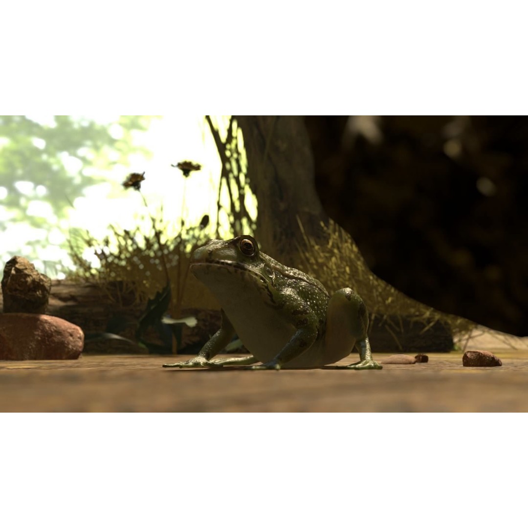 Frog 3D Model – Low Poly Rigged Animation Asset, FBX, OBJ - View 48