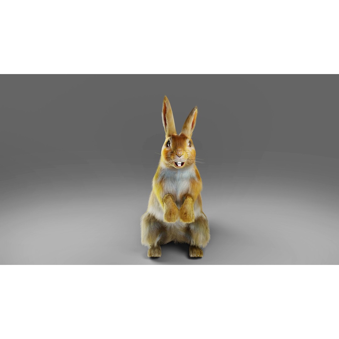 Fur Rabbit 3D Model – Low Poly Rigged Animal with Animations, Blender - View 6