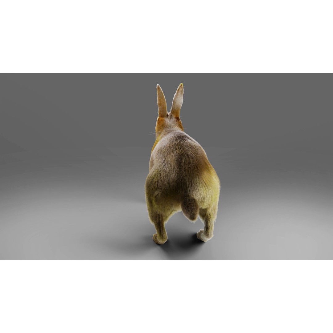 Fur Rabbit 3D Model – Low Poly Rigged Animal with Animations, Blender - View 9