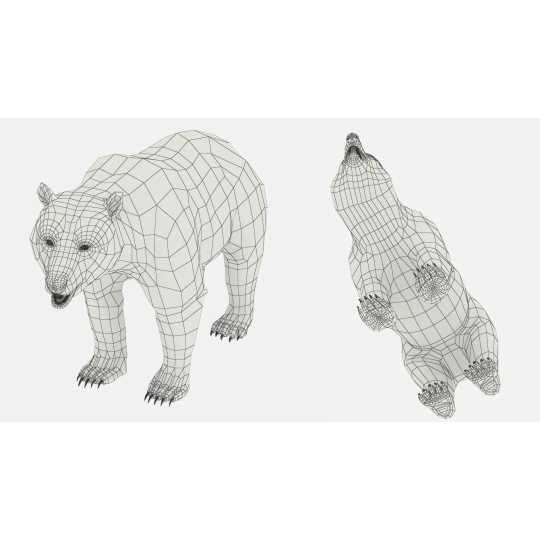 Brown Bear 3D Model – Realistic Fur in Cage, PBR Textures - View 14