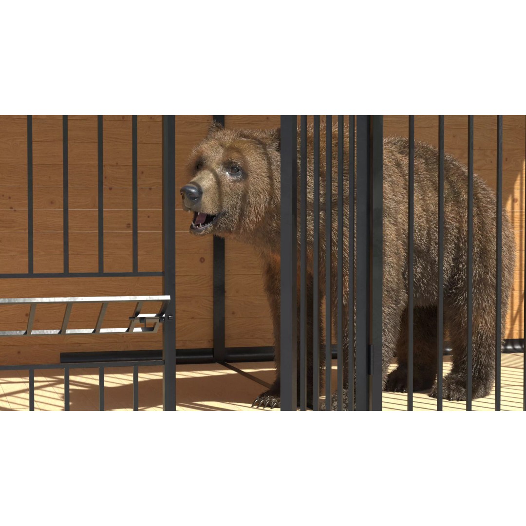 Brown Bear 3D Model – Realistic Fur in Cage, PBR Textures - View 2