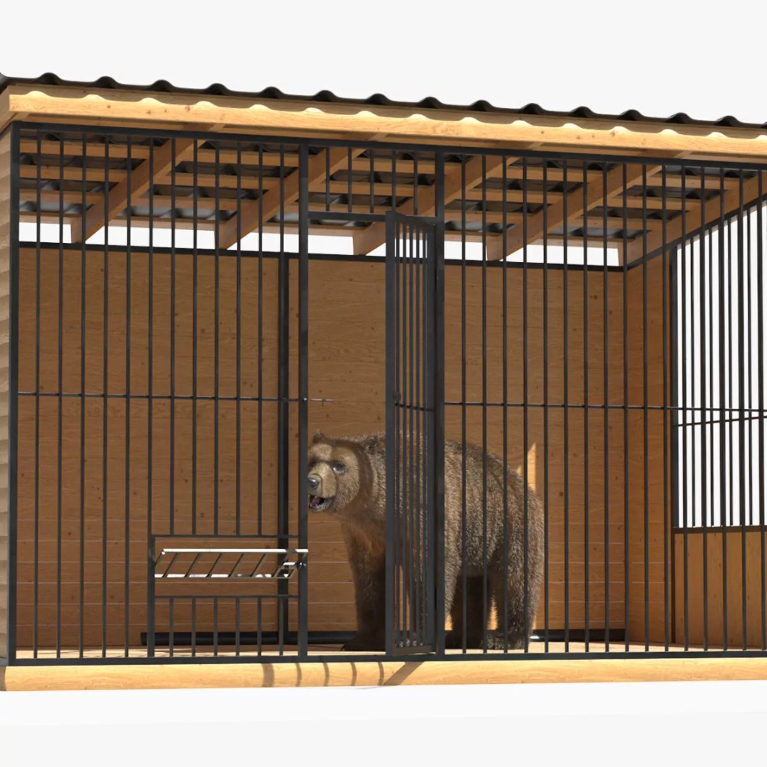 Brown Bear 3D Model – Realistic Fur in Cage, PBR Textures - View 3