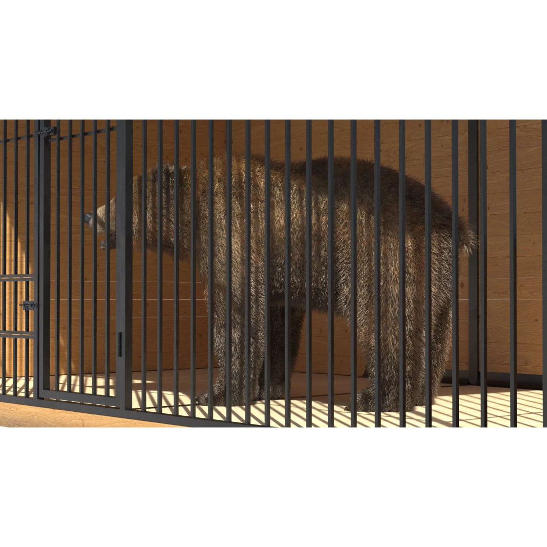 Brown Bear 3D Model – Realistic Fur in Cage, PBR Textures - View 5