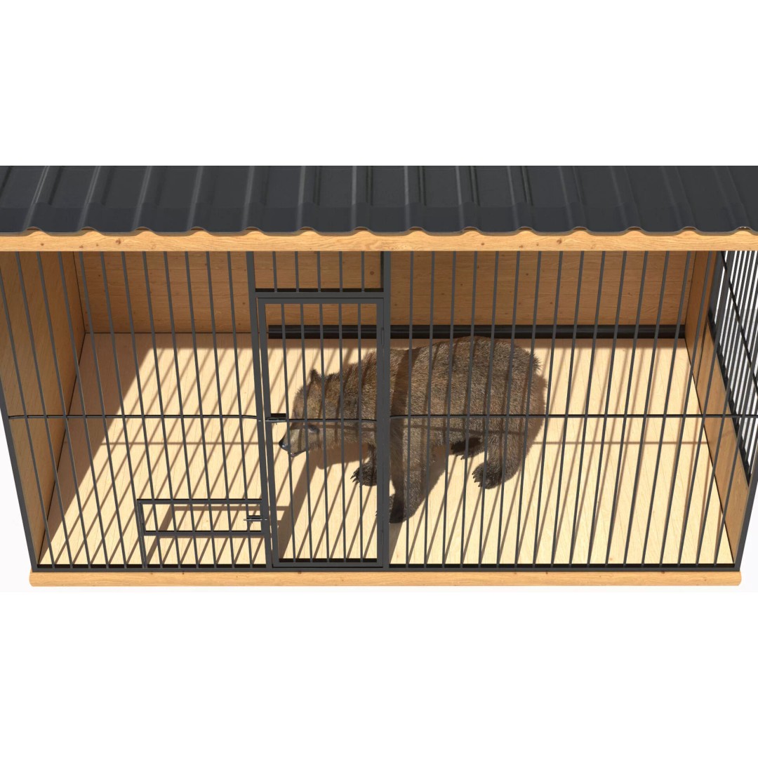 Brown Bear 3D Model – Realistic Fur in Cage, PBR Textures - View 6