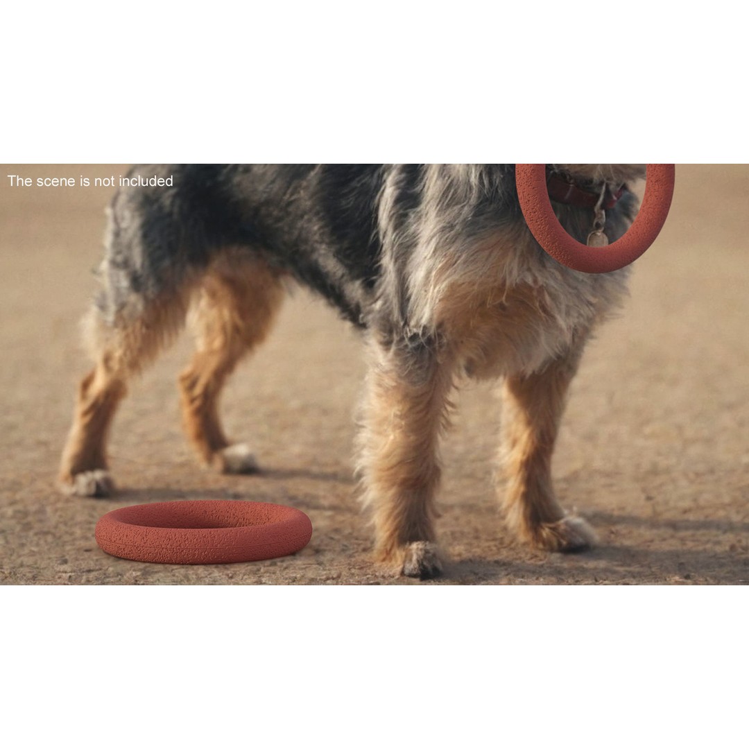Ring Dog Toy 3D Model – Interactive Training Tool, PBR Textures, FBX - View 2