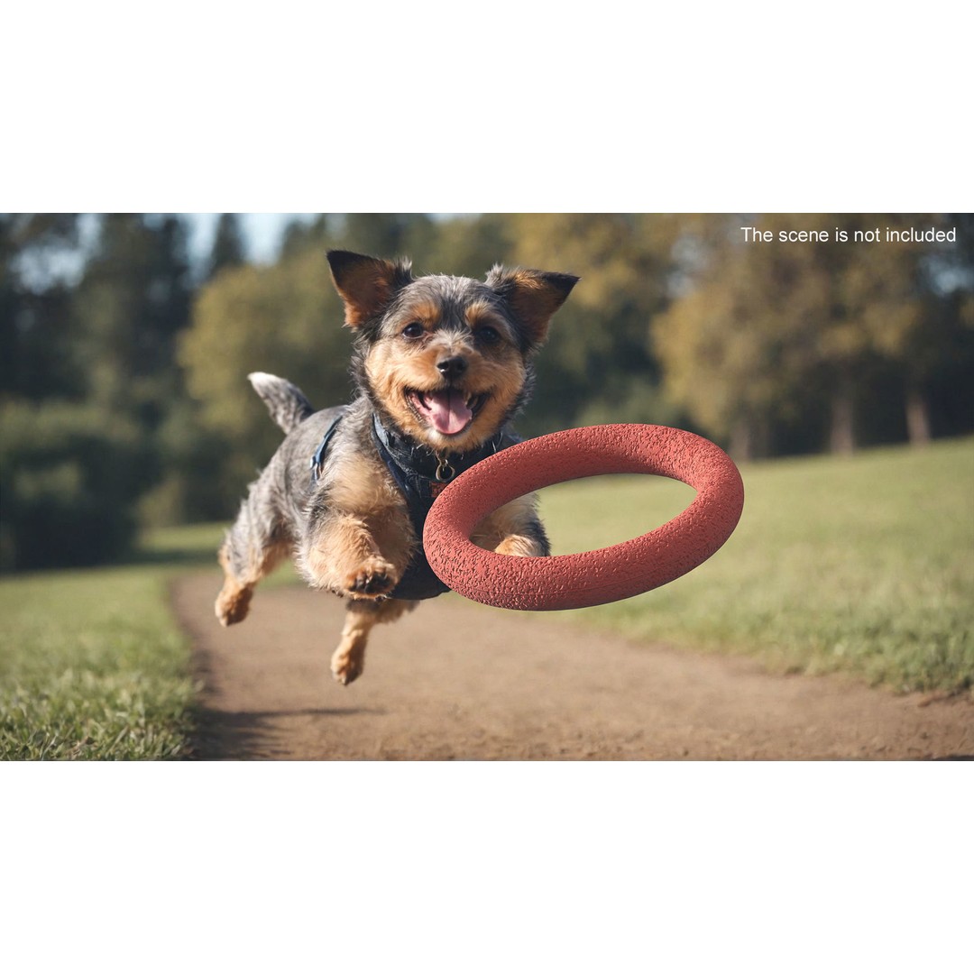 Ring Dog Toy 3D Model – Interactive Training Tool, PBR Textures, FBX - View 3