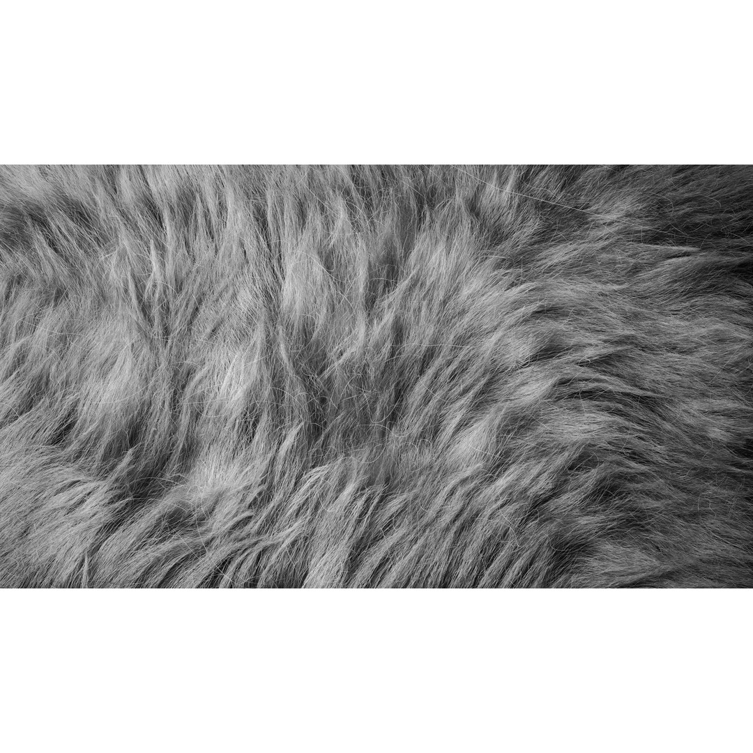 Fur 3D Model – Ornatrix Grooming for Characters, 3ds Max & Maya - View 10