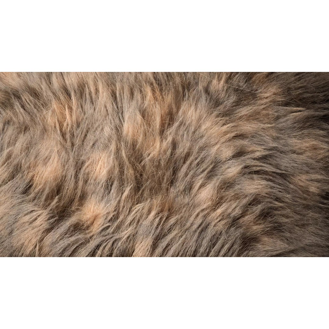 Fur 3D Model – Ornatrix Grooming for Characters, 3ds Max & Maya - View 2