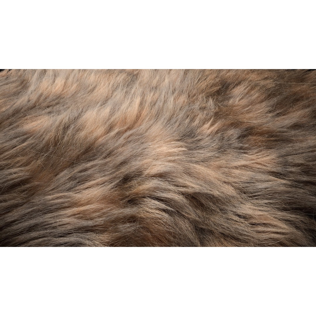 Fur 3D Model – Ornatrix Grooming for Characters, 3ds Max & Maya - View 5