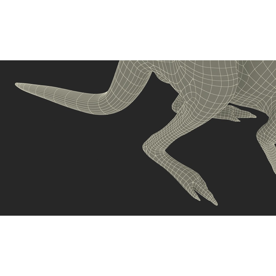 Kangaroo Stands on Four Paws 3D Model – Realistic PBR Asset, FBX, OBJ
