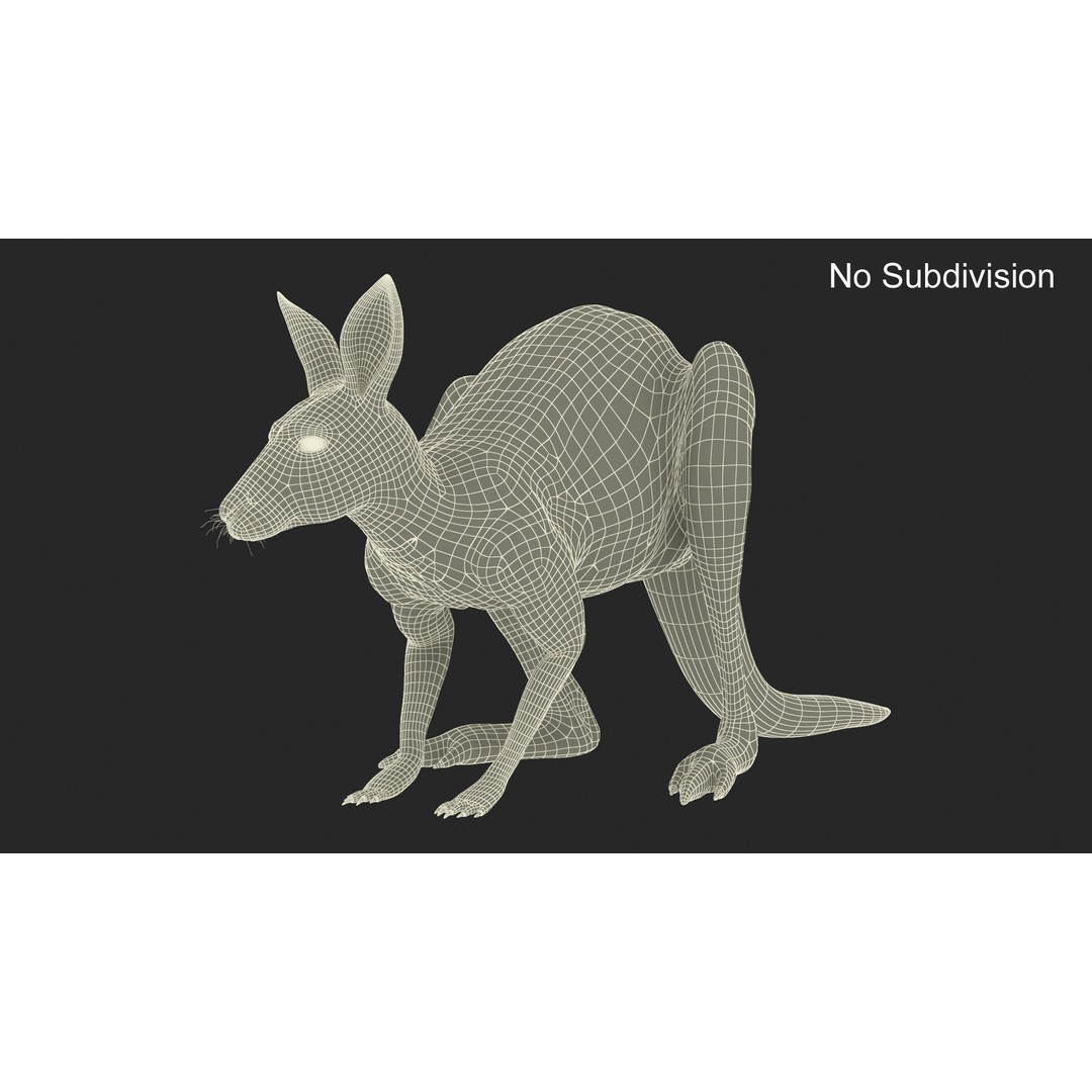 Kangaroo Stands on Four Paws 3D Model – Realistic PBR Asset, FBX, OBJ - View 16