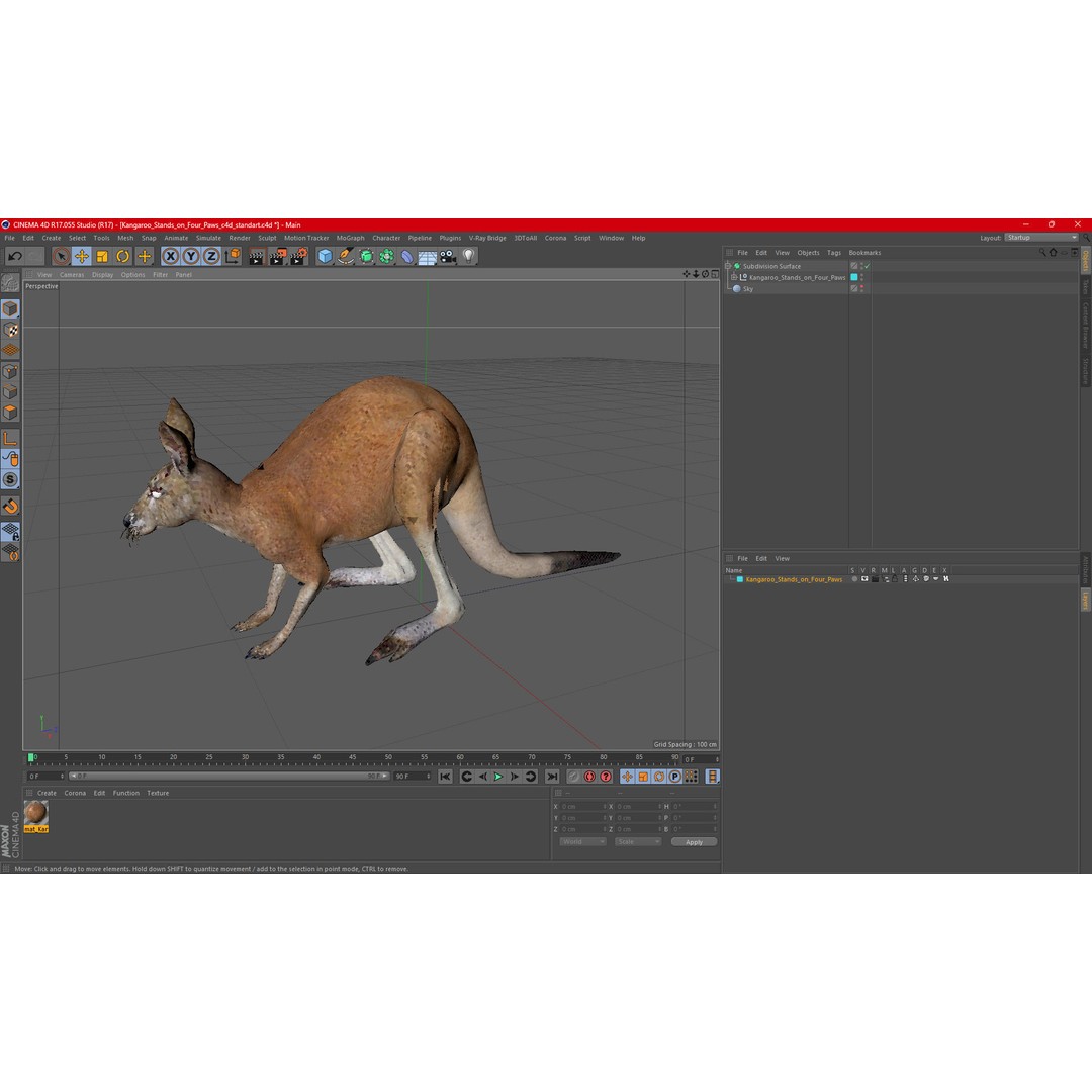 Kangaroo Stands on Four Paws 3D Model – Realistic PBR Asset, FBX, OBJ - View 20