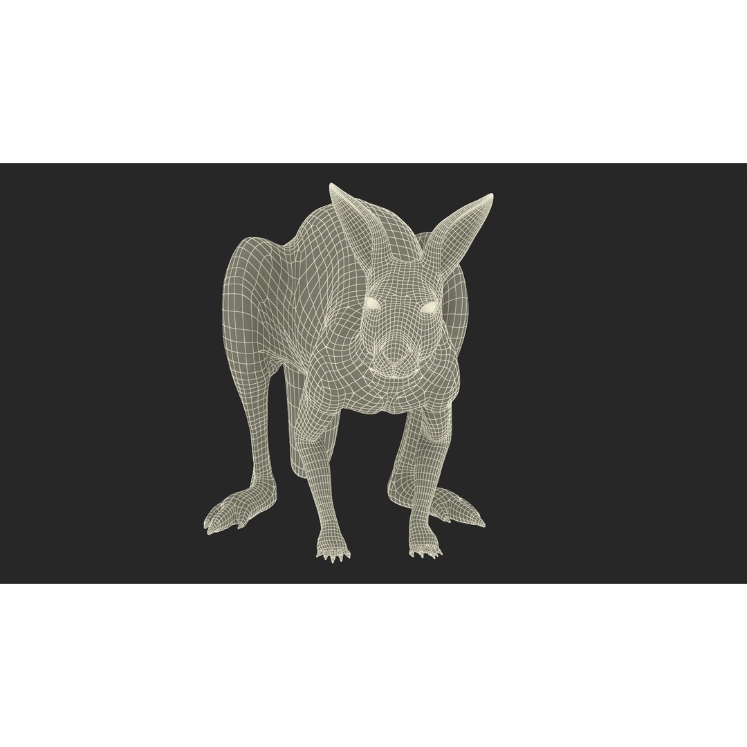 Kangaroo Stands on Four Paws 3D Model – Realistic PBR Asset, FBX, OBJ - View 26