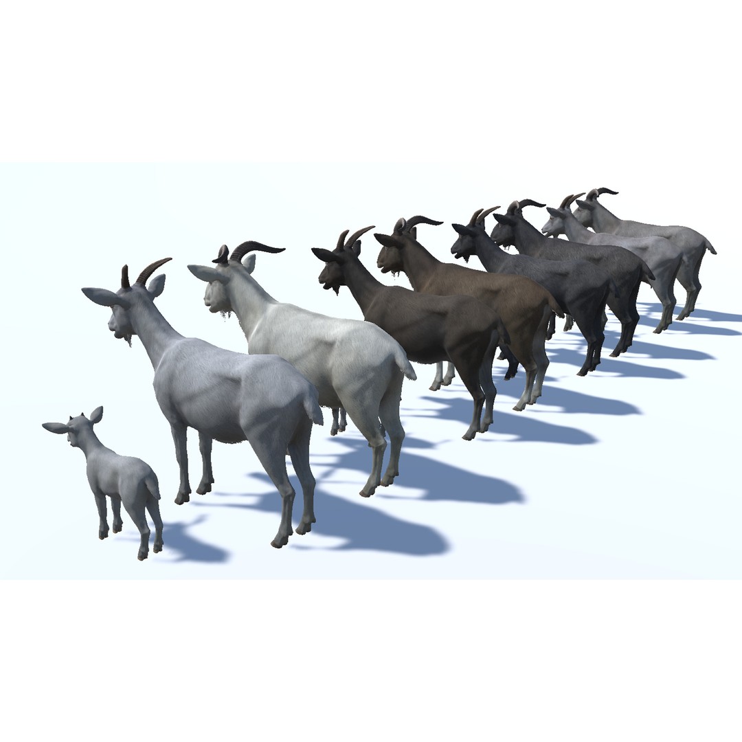 Goat Family 3D Model – Low Poly Game Asset, Rigged, PBR Textures - View 10