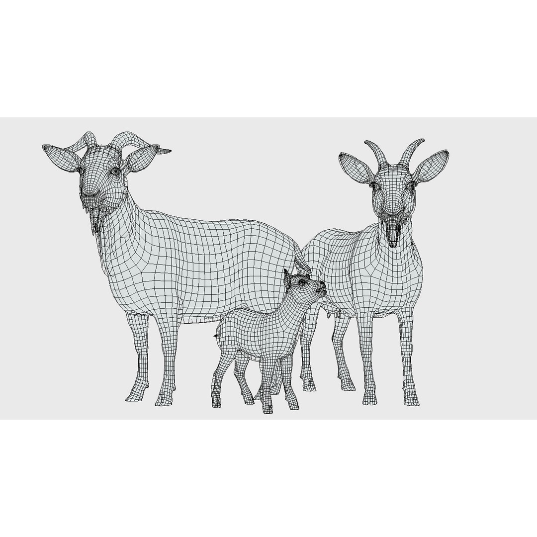 Goat Family 3D Model – Low Poly Game Asset, Rigged, PBR Textures - View 11