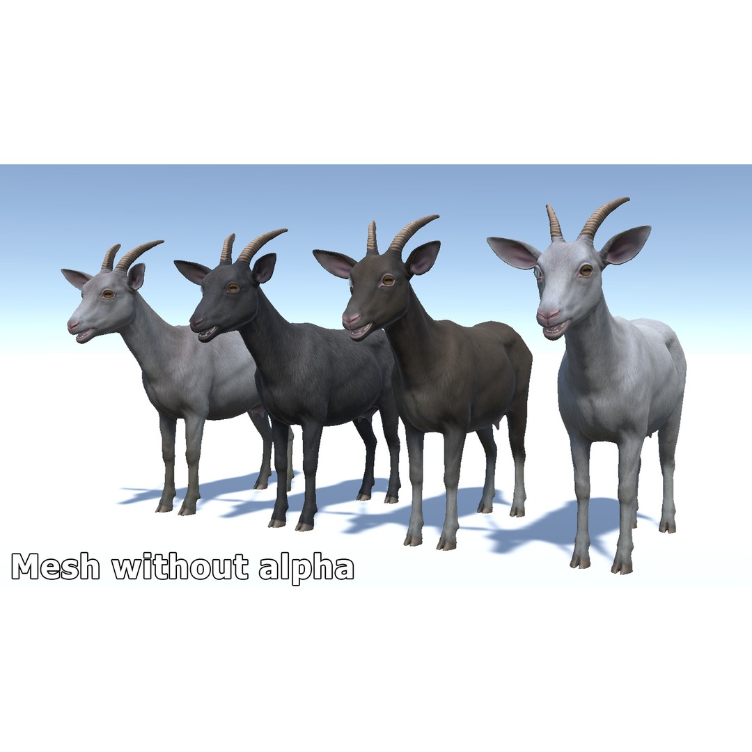Goat Family 3D Model – Low Poly Game Asset, Rigged, PBR Textures - View 12