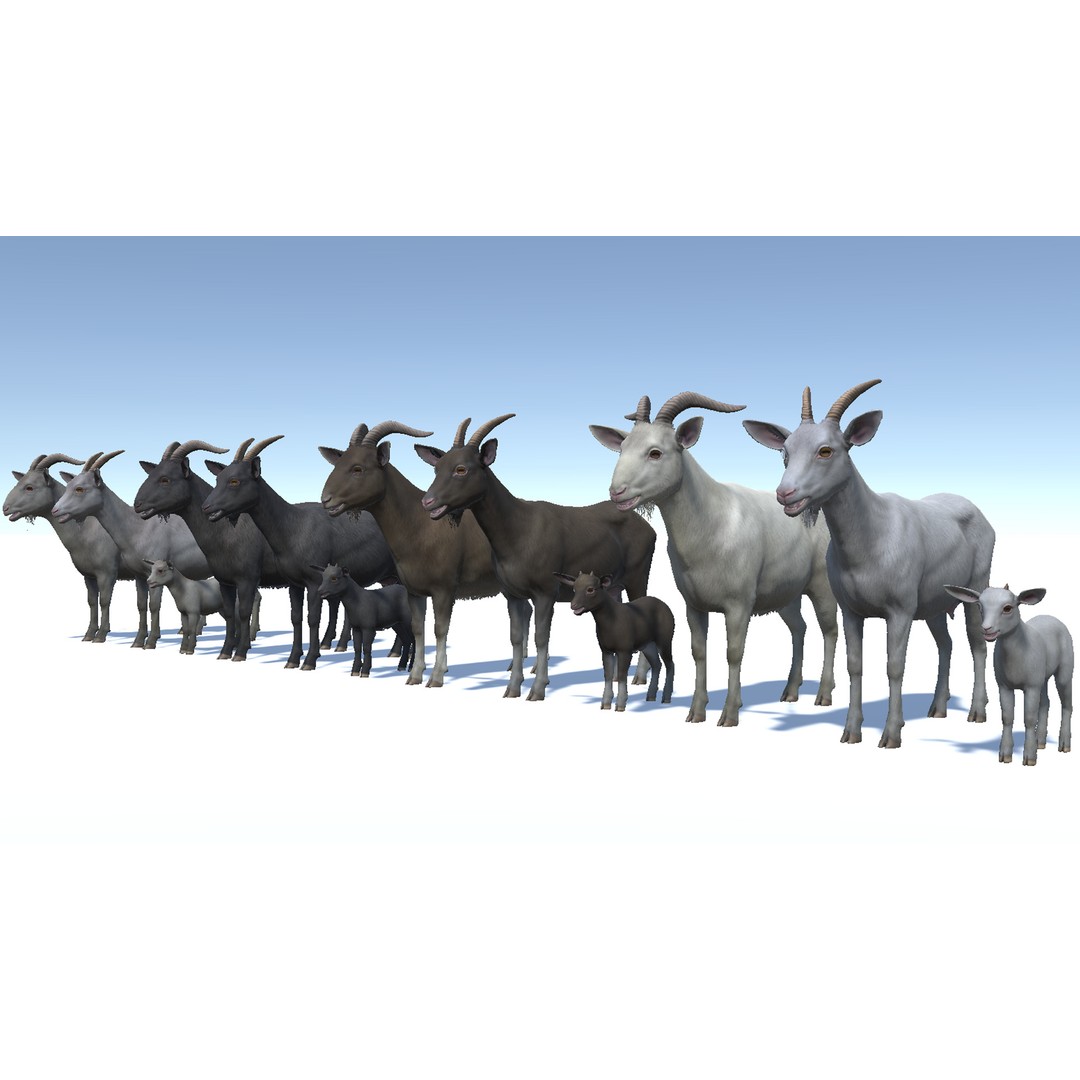 Goat Family 3D Model – Low Poly Game Asset, Rigged, PBR Textures - View 3