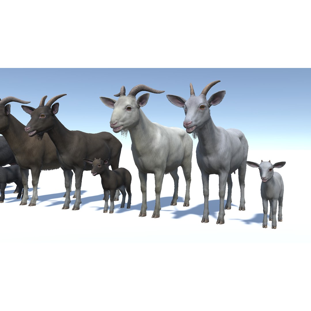 Goat Family 3D Model – Low Poly Game Asset, Rigged, PBR Textures - View 4