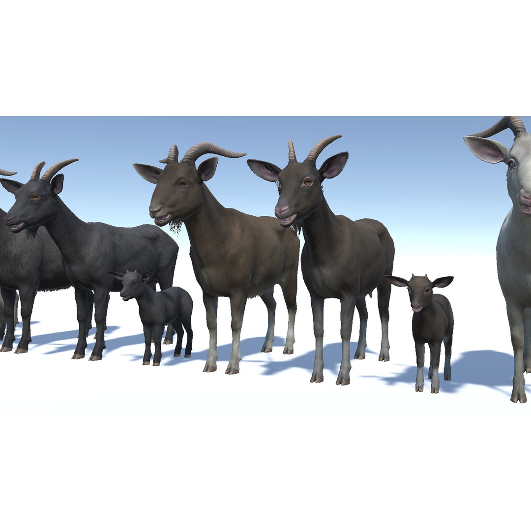 Goat Family 3D Model – Low Poly Game Asset, Rigged, PBR Textures - View 5