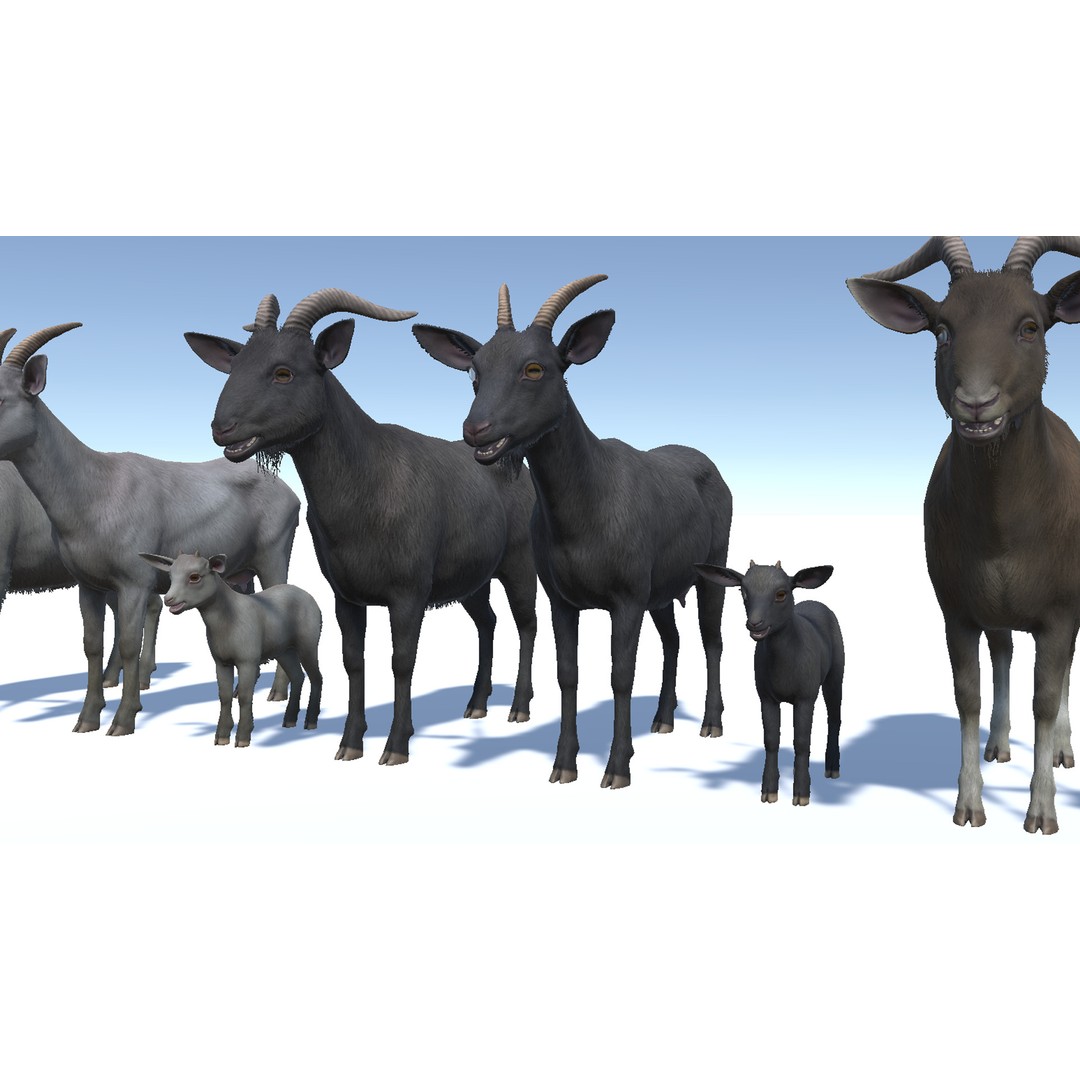 Goat Family 3D Model – Low Poly Game Asset, Rigged, PBR Textures - View 6