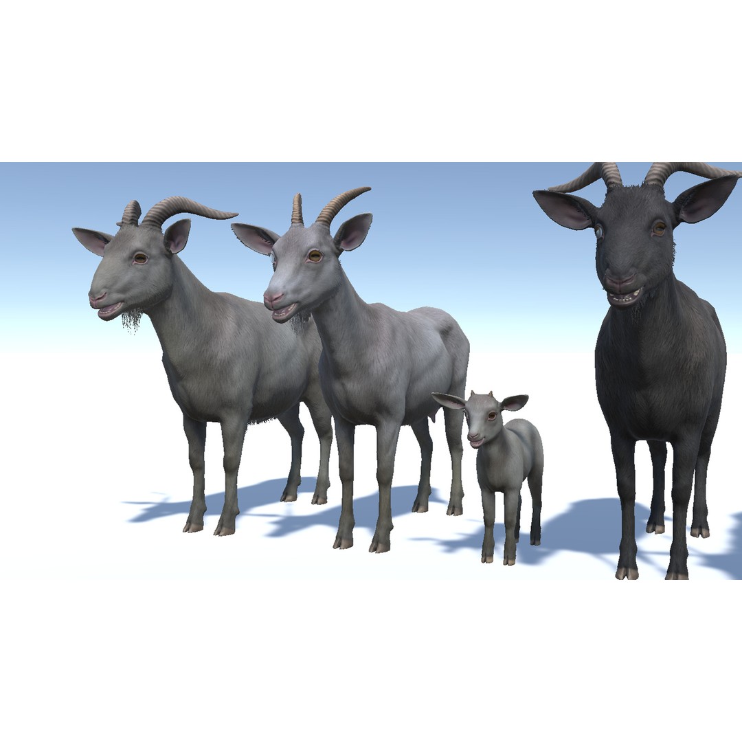 Goat Family 3D Model – Low Poly Game Asset, Rigged, PBR Textures - View 7