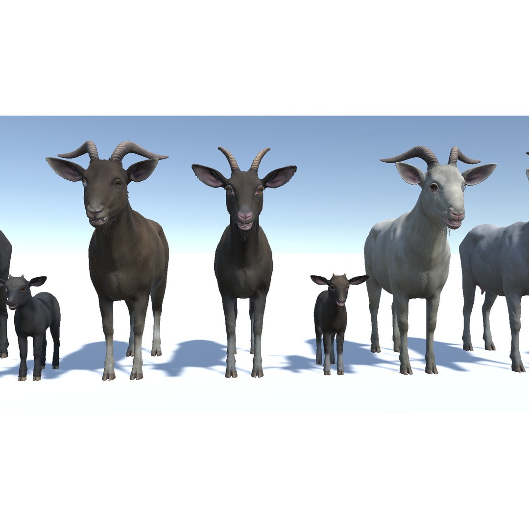 Goat Family 3D Model – Low Poly Game Asset, Rigged, PBR Textures - View 8
