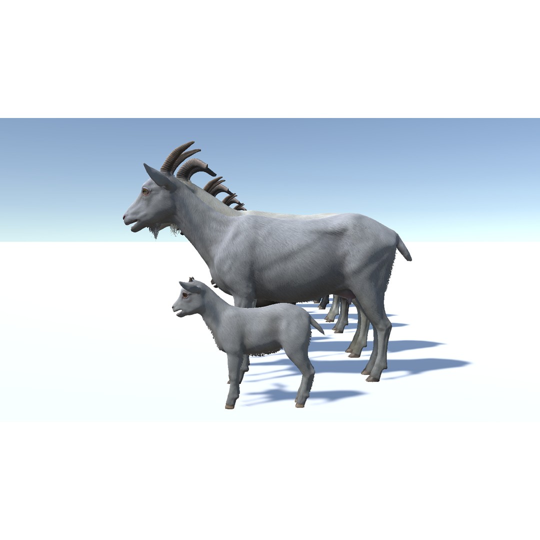 Goat Family 3D Model – Low Poly Game Asset, Rigged, PBR Textures - View 9