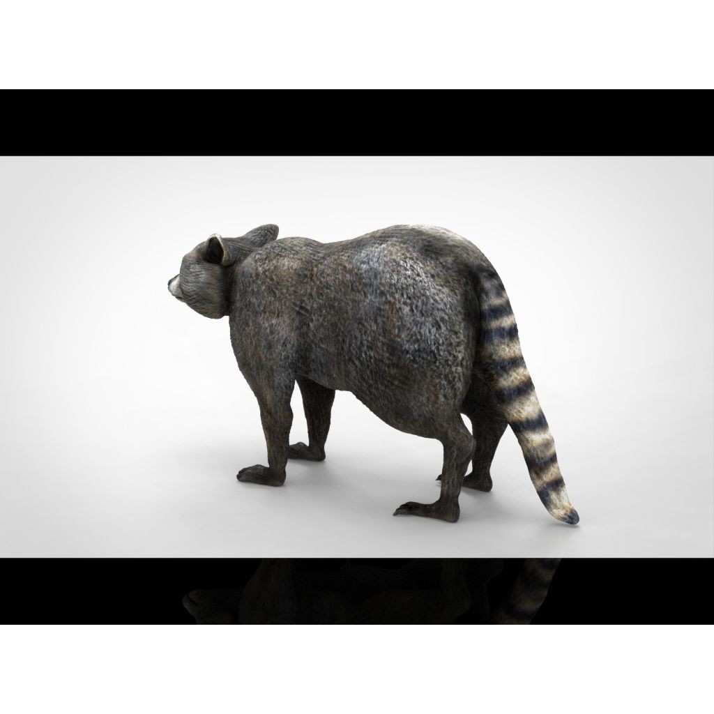 Raccoon 3D Model – Low Poly Game Asset, FBX, PBR Textures